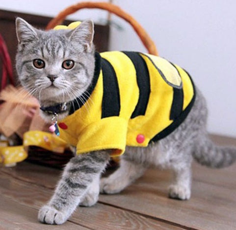 1Pcs Pet Clothes Cute Bees Dog Cat Clothes Soft Fleece Teddy Poodle Dog Clothes For Pets Product Supplies Accessories