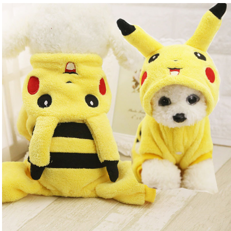 Pet dog turned clothes