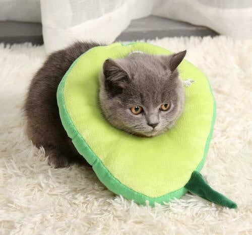 Adjustable Pet Neck Cone Recovery Pet Cat Recovery Collar Cat Soft Lemon Neck Cone Adjustable Pet E Collar After Surgery, Wound Healing Protective Cat Elizabethan Collar For Kitten & Puppy