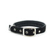 Dog Belt Collar